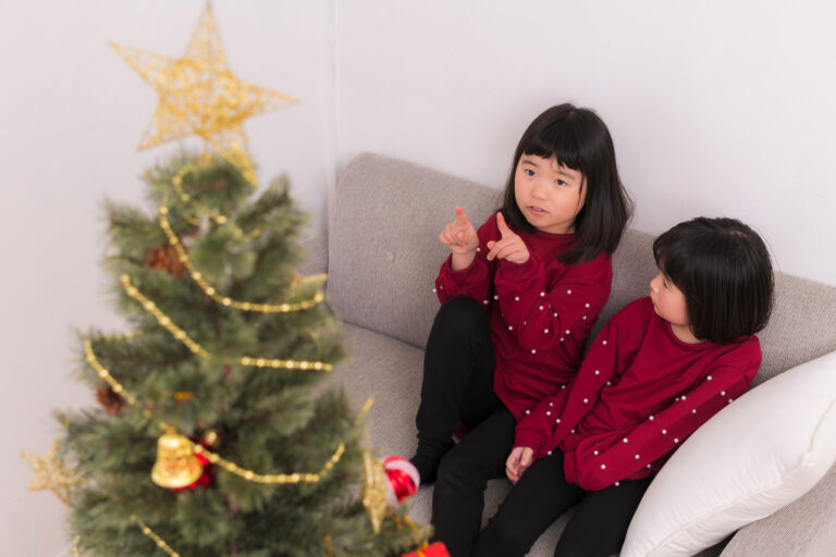 子どもが「サンタさんにお願いしたプレゼント」を届けたい キャンペーン