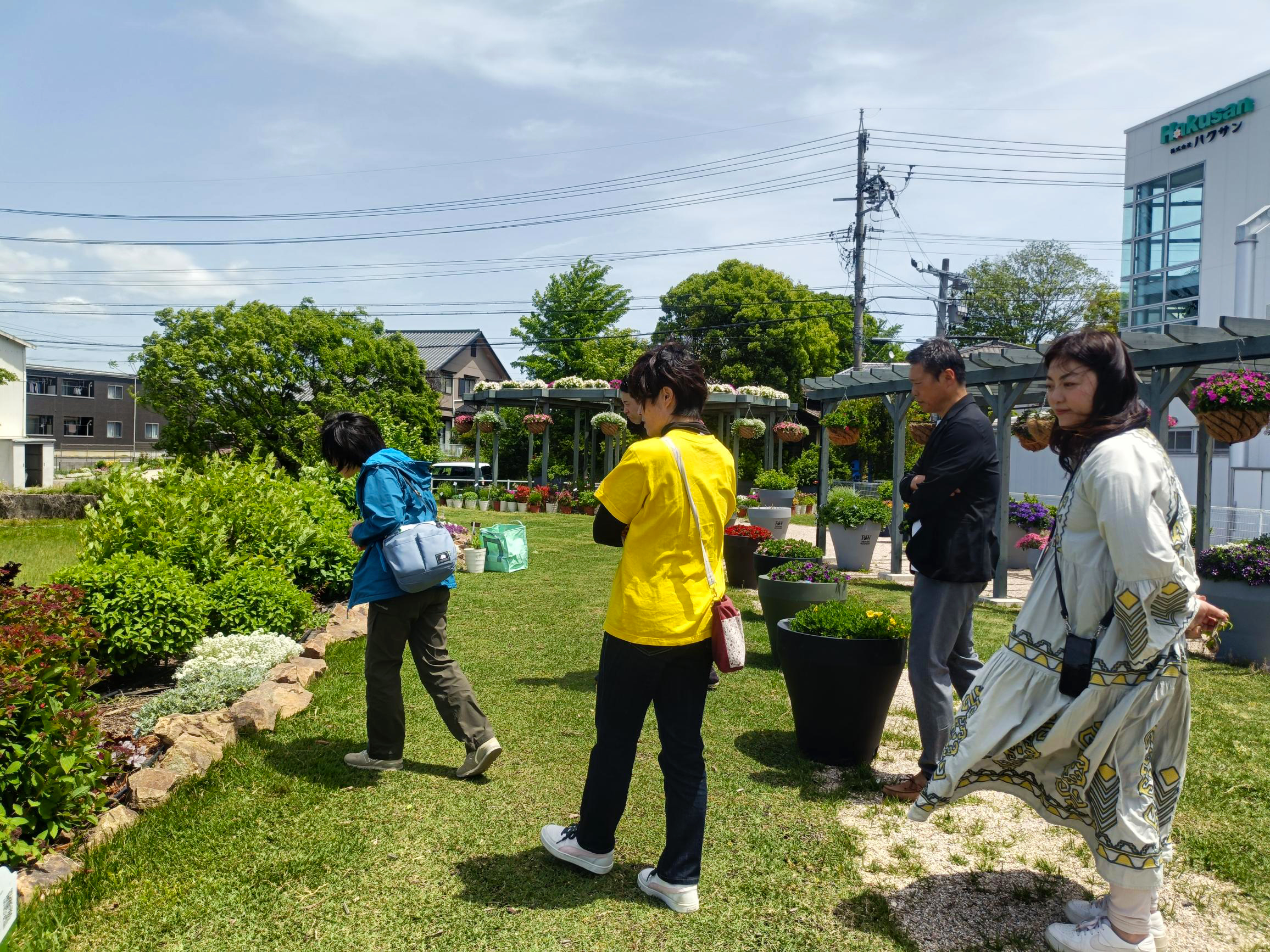 shared-image-2